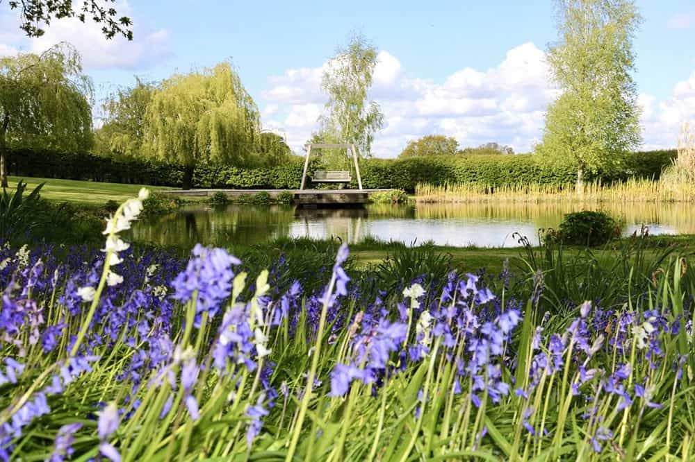 swing by a pond and lavender flowers at toolerstone