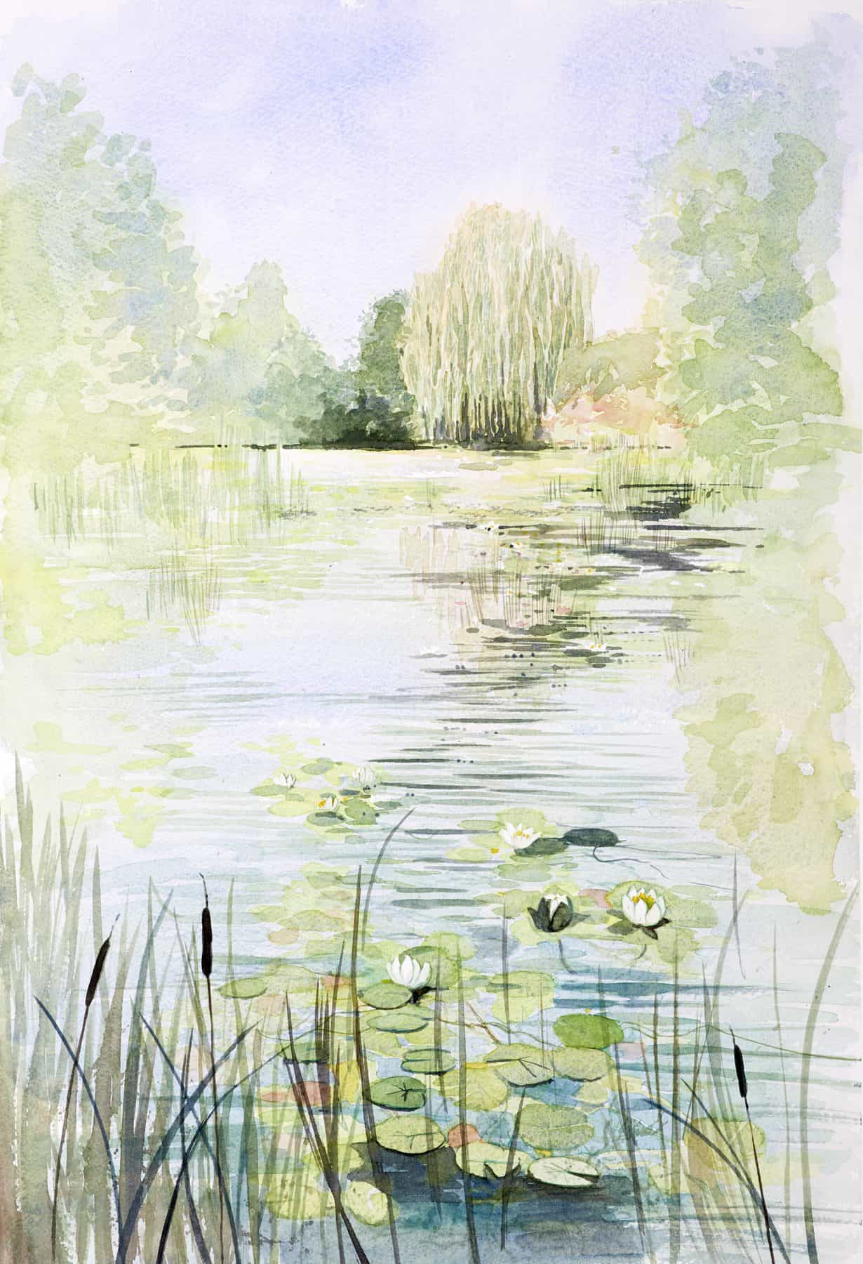 watercolour painting of a pond