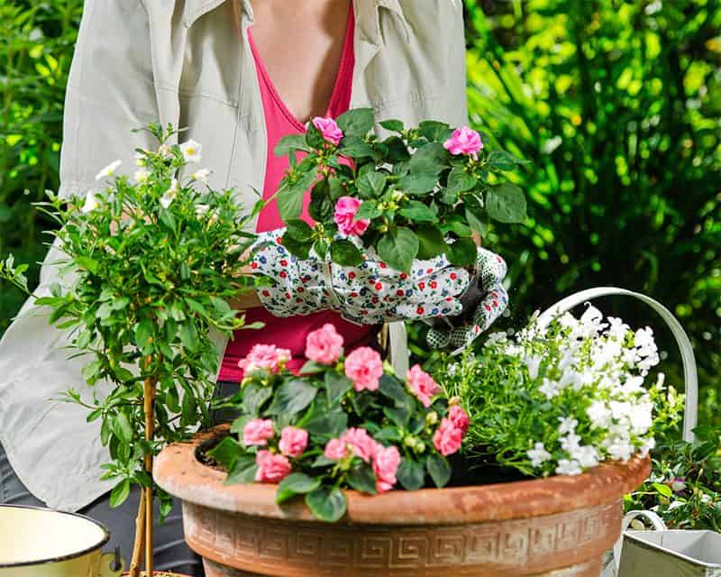 woman and a flower pot