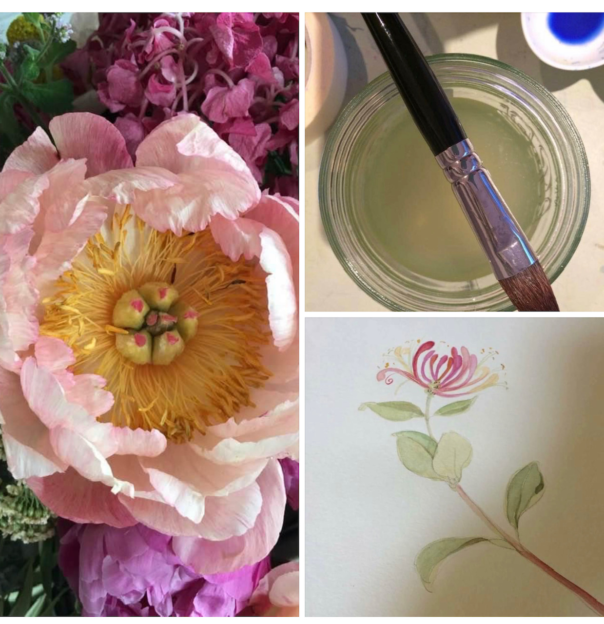 A brush with watercolour paintings of flowers