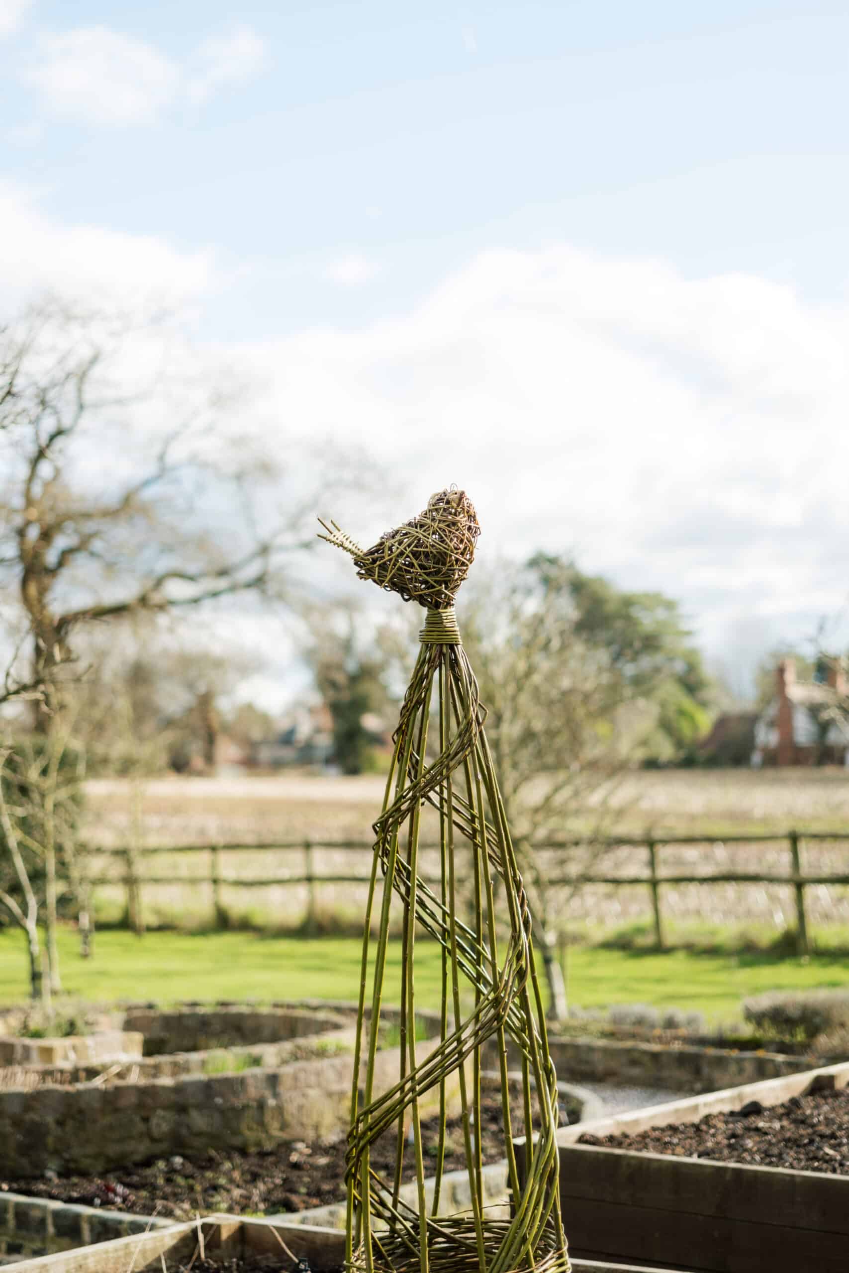 Willow obelisk in a garden