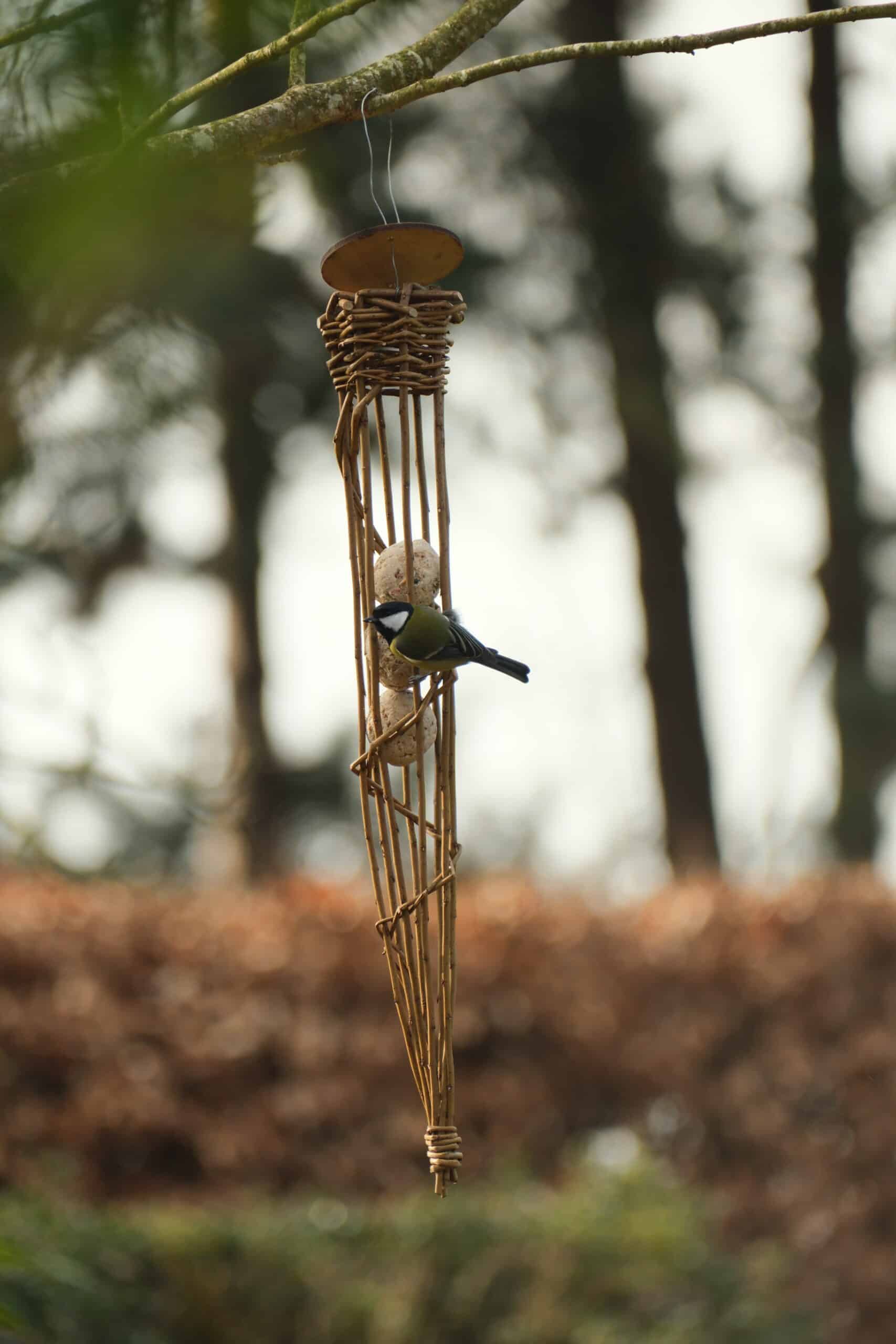 Bird feeder made of willow hanging on a tree branch with a bird